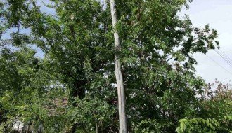 Puknuta drvena bandera u Bračkoj ulici