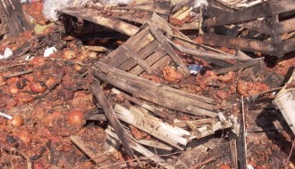 Tavankut ima problem: "alternativno gradsko-prigradska deponija"