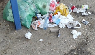 Smeće na okretici "dvojke" u Aleksandorvu