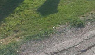 Udarne rupe na Bikovačkom putu