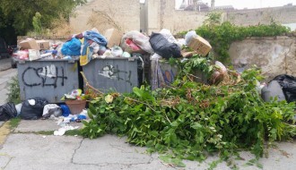 Obeveštena komunalna policija ne preduzima ništa