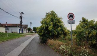 Žbunje-divlje rastinje u Verušićkoj uluci