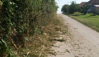 Žbunje-divlje rastinje u Verušićkoj uluci