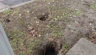 Žačepljena kanalizacija pored parka na Prozivci