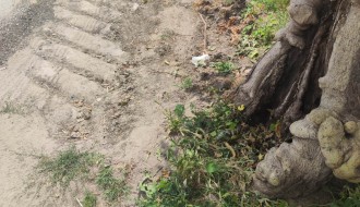 Katastrofalno stanje Ivangradske ulice