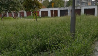 (Ne)košenje trave na Prozivci