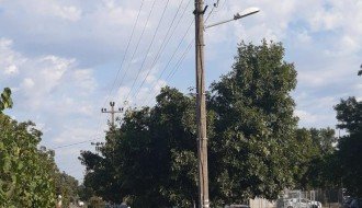 Električne žice u krošnji drveća (ugao Đorđa Natoševića i Prvog ustanka)