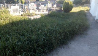 (Ne)održavanje groblja u Bajmoku