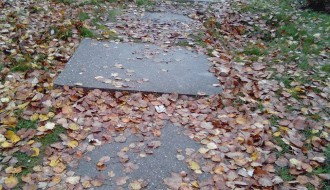 Izvaljeno stablo i oštećeni tortoar na Segedinskom putu