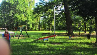 Gnezdo stršljenova na Paliću na dečijem igralištu