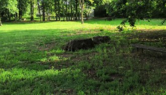 Gnezdo stršljenova na Paliću na dečijem igralištu