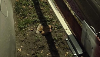 „Privatizacija“ javnog parkinga na Radijalcu