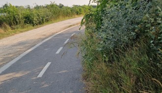 Neodržavanje biciklističke staze uz zapadnu obalu Palićkog jezera