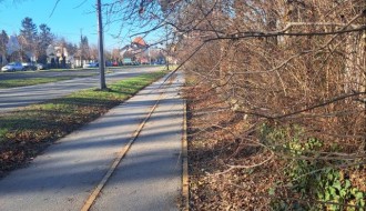 Zapušteno šiblje i granje na delu pešačko-biciklističke staze