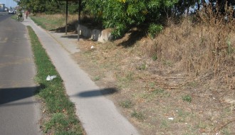 Bus stajalište - pre i posle