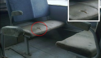 Autobuski prevoz i stari neodržavani autobusi