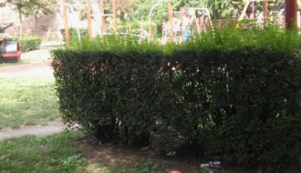 Iskorišćeni špricevi na dečjem igralištu na Radijalcu