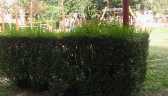 Iskorišćeni špricevi na dečjem igralištu na Radijalcu