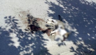 "Auto-put" - Kireška ulica