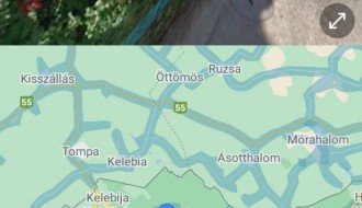 Nekontrolisano divlje zelenilo ispred kuća u ulici Deže Kostolanjija