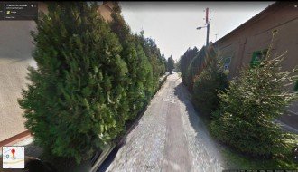 Nekontrolisano divlje zelenilo ispred kuća u ulici Deže Kostolanjija