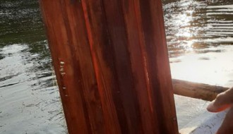 Vandalizam na Paliću