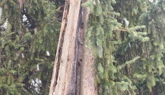 Trula bandera u ulici Starine Novaka 54a u Aleksandrovu