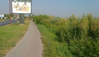 Biciklistička staza na kraju somborske pruge obrasla šibljem (Zorka)