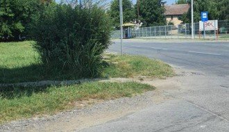 Nepregledna raskrsnica zbog žive ograde (ulice Jelene Čović i Otmara Majera)