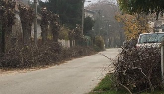 Posle orezivanja granje stoji na ulici nedelju dana