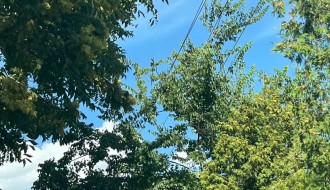 Problemi sa strujom na Čantavirskom putu