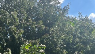 Problemi sa strujom na Čantavirskom putu