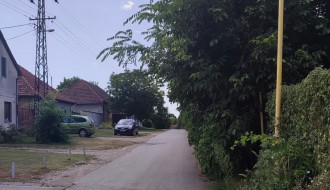 Divlje rastinje u Verušićkoj ulici