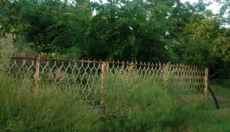 Ambrozija na Paliću