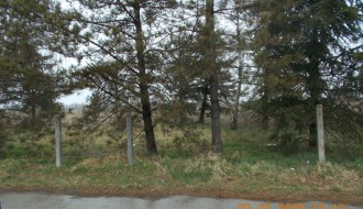 Masovno odlaganje smeća na Zorci