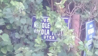 Tabla sa nazivom ulice Nikole Tesle na Paliću