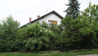 Košenje rastinja u Maloj Bosni