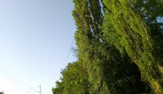 MZ Zorka - Ulice Indire Gandi i Kosovska