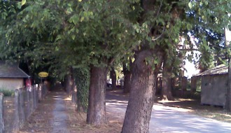 Višegodišnje smeće kod Vila Viktorije na Paliću