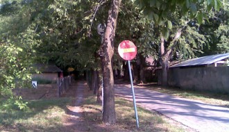 Višegodišnje smeće kod Vila Viktorije na Paliću