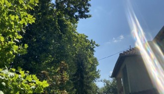 Neorezana drva u Igumanskoj ulici