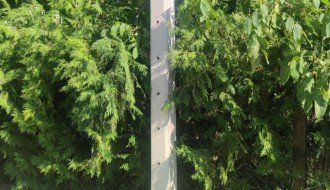 Stub javne rasvete u 46. novoj postavljen uz krošnju ogromnog drveta