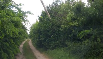 Opasno iskrivljena elektro bandera na Makovoj sedmici