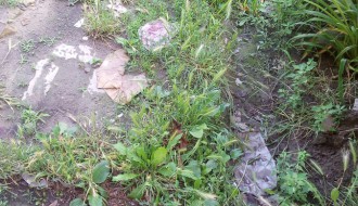 Karađorđev put prljav i neodržavan