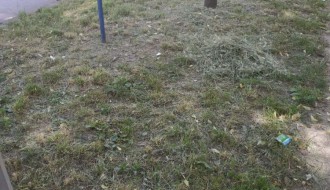 Karađorđev put prljav i neodržavan