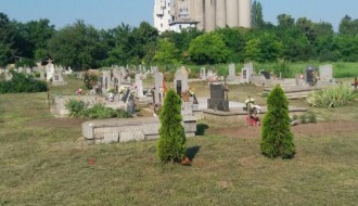 Zarasla trava u centralnom groblju - Bajmok