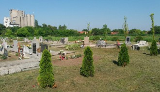 Zarasla trava u centralnom groblju - Bajmok