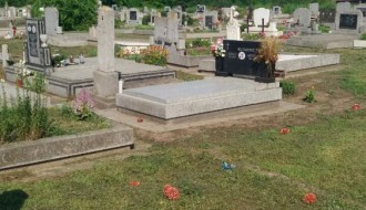 Zarasla trava u centralnom groblju - Bajmok