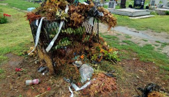 Zarasla trava u centralnom groblju - Bajmok