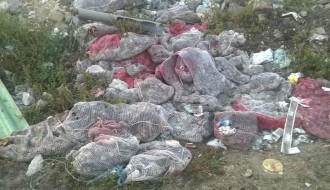 Da li će se nekad stati na kraj ilegalnom iznošenju otpada i đubreta?